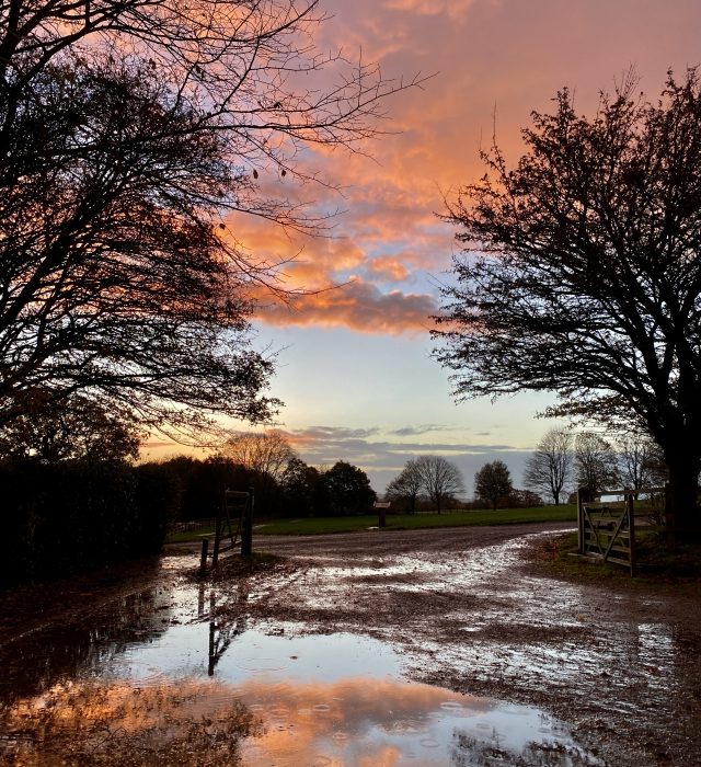 Autumn Sunset 1 Scaled Aspect Ratio 640 700