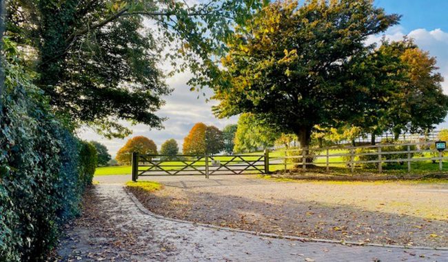 Country Park Autumn 21 By Debbie Miles Williams Aspect Ratio 650 380