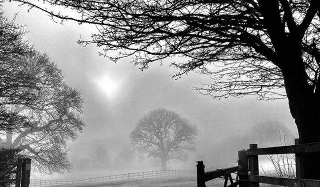 Country Park Winter 22 By Debbie Miles Williams Aspect Ratio 650 380